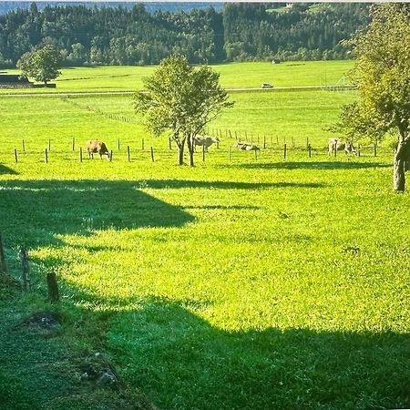Gemuetliche Kleine Wohnung Mit Garten Unterburg  Exteriér fotografie