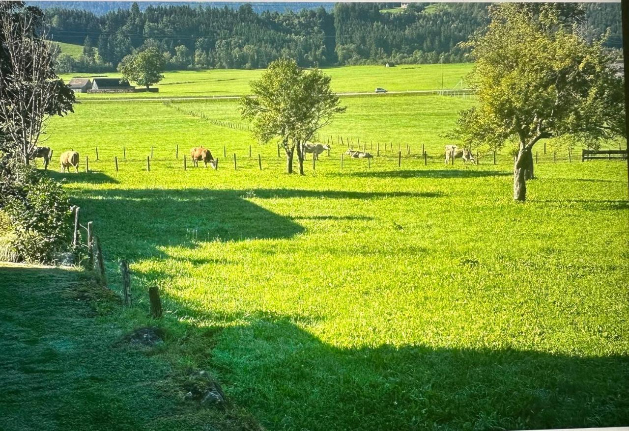 Gemuetliche Kleine Wohnung Mit Garten Unterburg  Exteriér fotografie